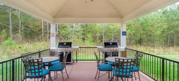 Candlewood Suites FT李 - 圣彼得堡 - 合 by IHG(Candlewood Suites Hopewell - Fort Gregg Adams)图片