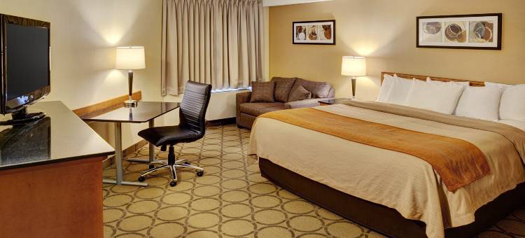 拉瓦尔舒适酒店(Comfort Inn)图片