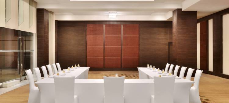 齐普尔万豪酒店(Jaipur Marriott Hotel)图片