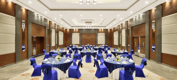 浦那辛吉瓦蒂丽笙酒店(Radisson Blu Pune Hinjawadi)图片