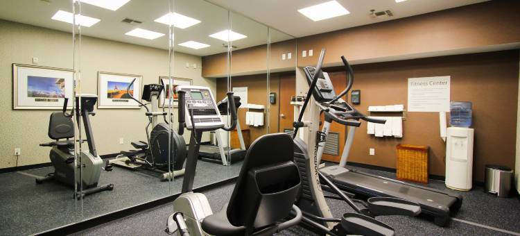 智选假日套房酒店纳科多奇斯(Holiday Inn Express & Suites Nacogdoches)图片