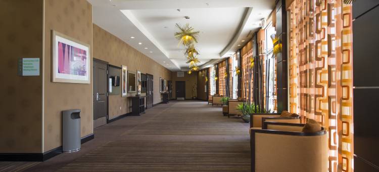 休斯顿西追希尔顿逸林酒店(DoubleTree by Hilton Houston Westchase)图片