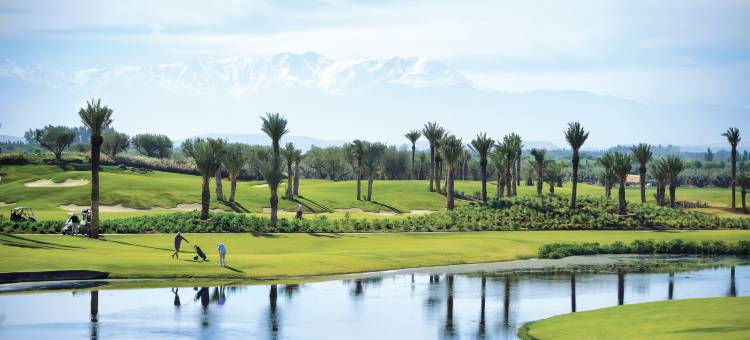 费尔蒙马拉喀什皇家棕榈酒店(Fairmont Royal Palm Marrakech)图片