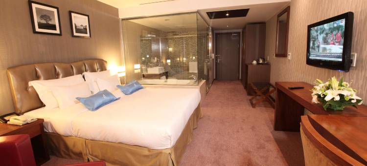 蓝天大厦酒店(The Blue Sky Hotel and Tower)图片