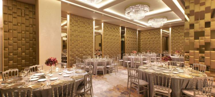 土耳其伊斯坦布尔美居酒店(Mercure Istanbul Umraniye)图片