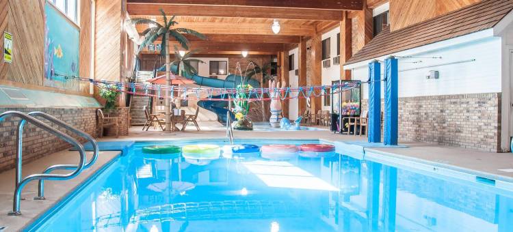 舒适酒店(Comfort Inn)图片