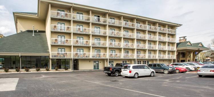 多利伍德街舒适酒店(Comfort Inn & Suites at Dollywood Lane)图片