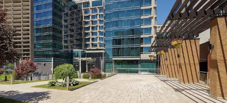 蒙特利尔市中心万怡酒店(Courtyard by Marriott Montreal Downtown)图片