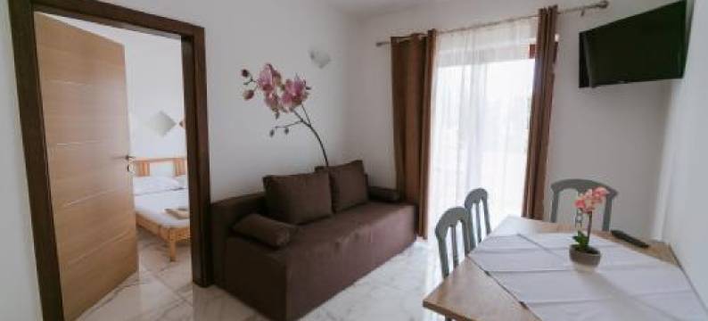 City Pool Apartments Novalja图片