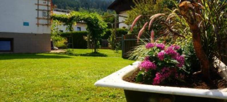 Appartement July图片