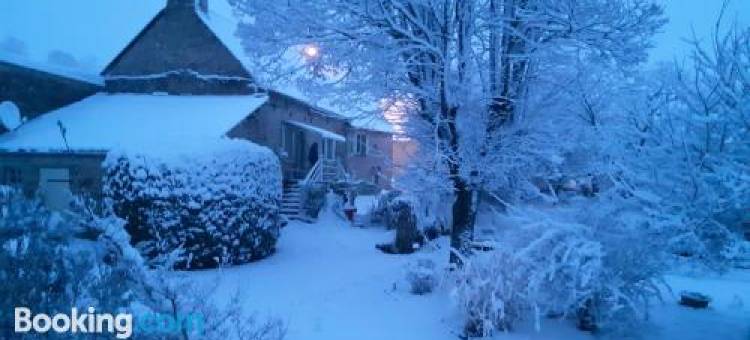 帕拉维达度假屋(Pura Vida)图片