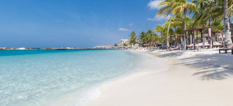 库拉索阿克亚水疗别墅度假村(Acoya Curacao Resort, Villas & Spa)图片