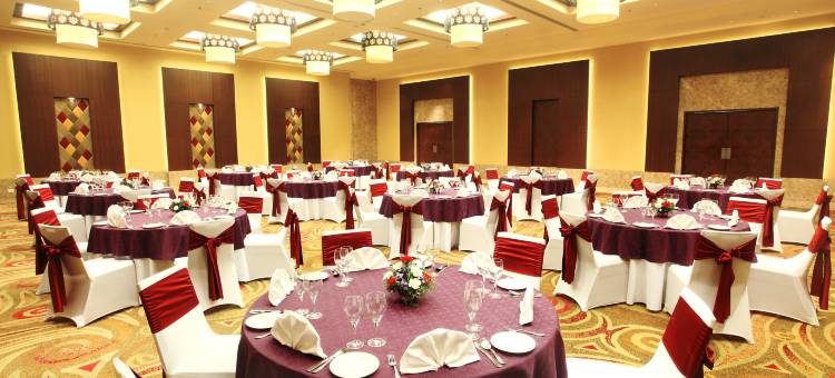 金奈市中心丽笙酒店(Radisson Chennai City Centre, India)图片