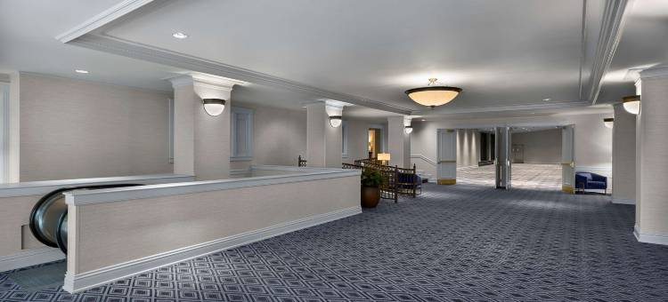 圣路易斯皇家索尼斯塔蔡斯公园广场酒店(The Royal Sonesta Chase Park Plaza St Louis)图片