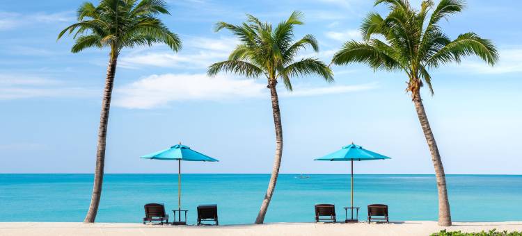 考拉艾美水疗度假酒店(Le Meridien Khao Lak Resort & Spa)图片