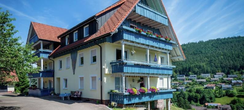 Quietly Situated, Bright Apartment in Baiersbronn with Private Balcony图片