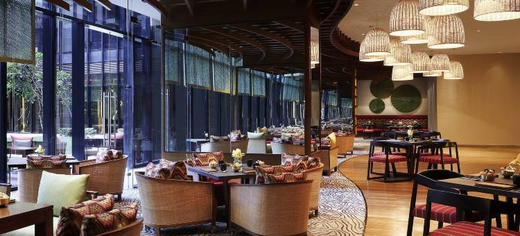 新德里Aerocity国际机场铂尔曼(Pullman New Delhi Aerocity- International Airport)图片