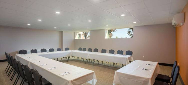 布兰森拉昆塔温德姆套房酒店(La Quinta Inn & Suites by Wyndham Branson)图片