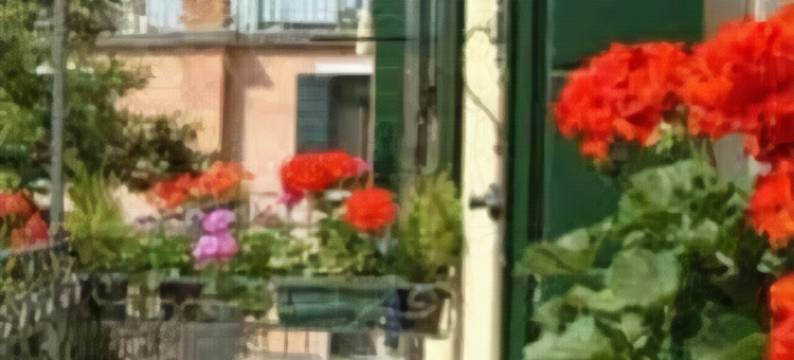 阿斯帕西娅酒店(Aspasia)图片