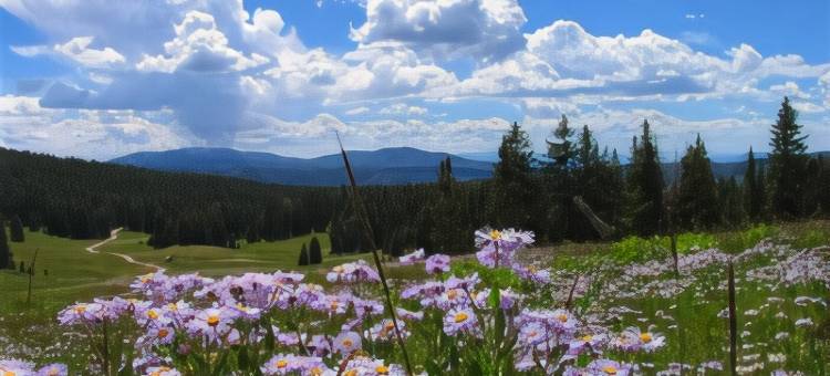 天堂贝斯特韦斯特酒店(Best Western Paradise Inn)图片