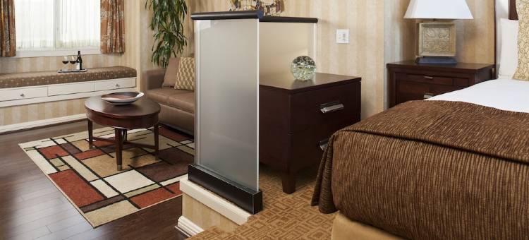 格里芬酒店(Hotel Griffon)图片