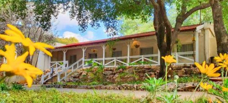 埃隆旅游度假村(Travel Hotel Eilon)图片