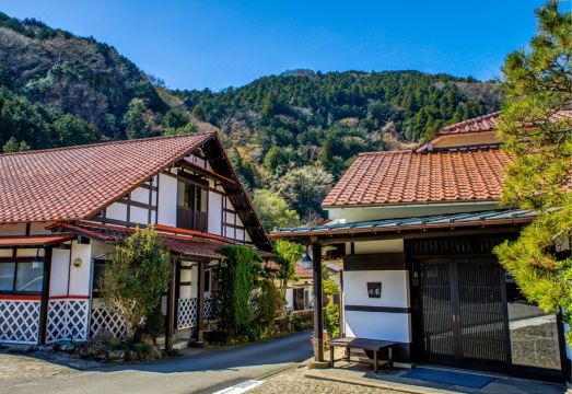 Shirakabeso Hotel Overview
