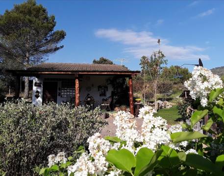 杜龙 5 居美丽湖景公寓酒店 - 附私人游泳池和专属花园(Apartment with 5 Bedrooms in Durón, with Wonderful Lake View, Private Pool, Enclosed Garden)