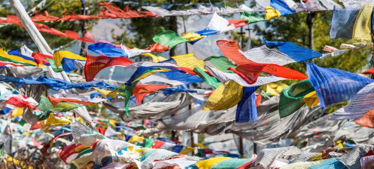 廷布艾美酒店(Le Méridien Thimphu)图片