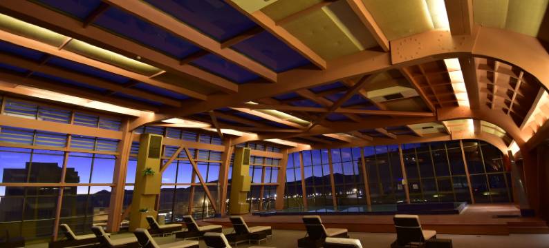 卡拉马 MDS 酒店(DoubleTree by Hilton Hotel Calama)图片