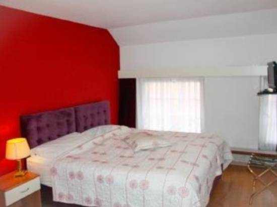 維萊特城中心酒店 - 麗城