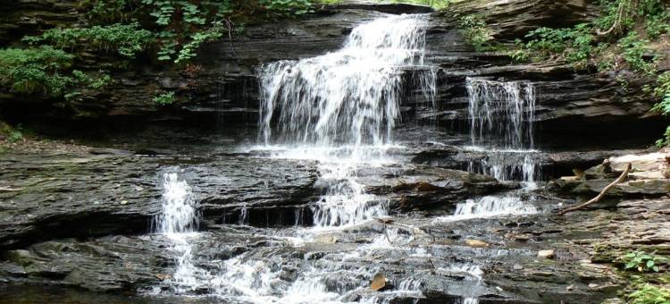 Best Western Plus Wilkes Barre Center City图片