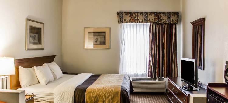 牛津南舒适套房酒店(Comfort Inn & Suites Oxford South)图片