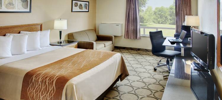 南方舒适酒店(Comfort Inn South)图片