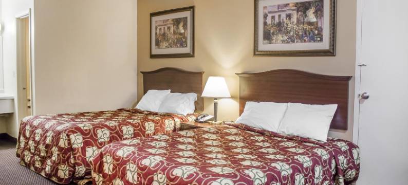 狼之旅馆酒店(Wolf Inn Hotel)图片