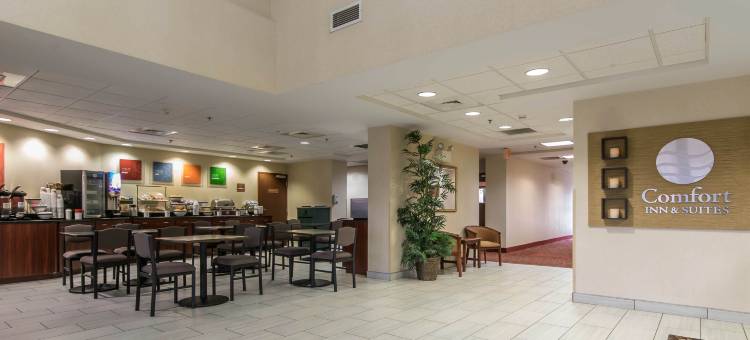 舒适套房酒店(Comfort Inn & Suites)图片