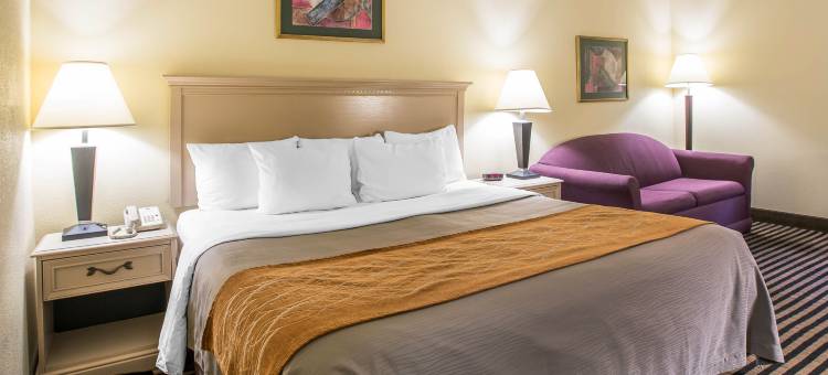 北默特尔海滩呗盟酒店(Baymont by Wyndham North Myrtle Beach)图片