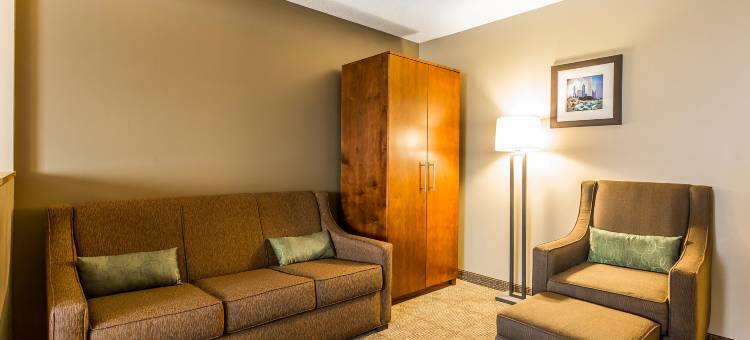 罗密欧维尔柏林布鲁克舒适酒店(Comfort Inn Romeoville - Bolingbrook)图片