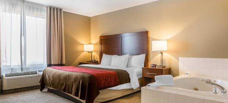 舒适酒店(Comfort Inn)图片