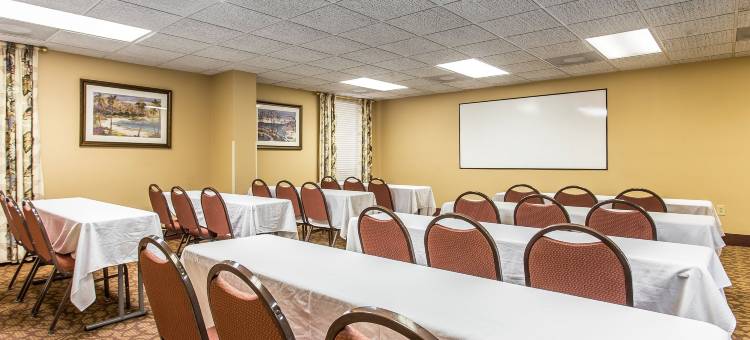 舒适套房酒店-大学(Comfort Suites at the University)图片