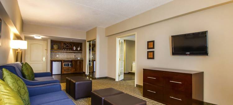 伍德布里奇舒适套房(Comfort Suites at Woodbridge)图片