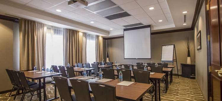 伍德布里奇舒适套房(Comfort Suites at Woodbridge)图片