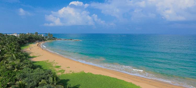 潘达努斯海滩水疗度假村(Pandanus Beach Resort & Spa)图片