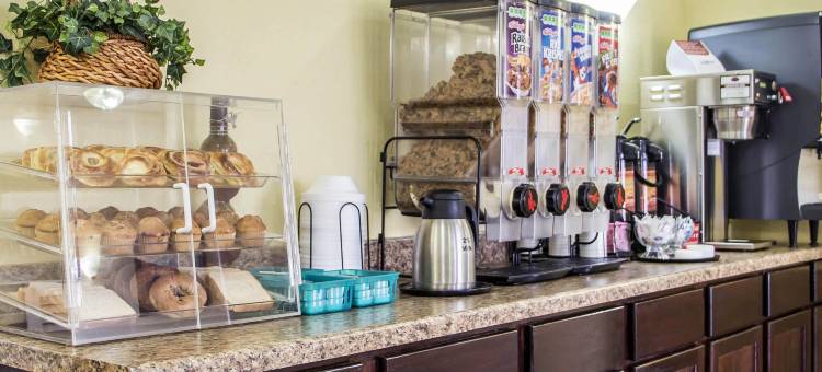 伊克诺旅馆-麦卡莱斯特(Econo Lodge McAlester)图片