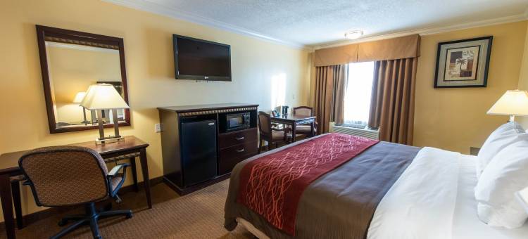 洛杉矶贝尔花园品质酒店及套房(Quality Inn & Suites Bell Gardens-Los Angeles)图片