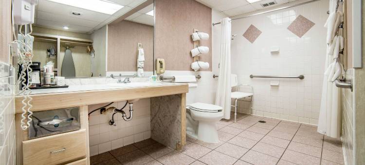 凯艺酒店(Quality Inn)图片