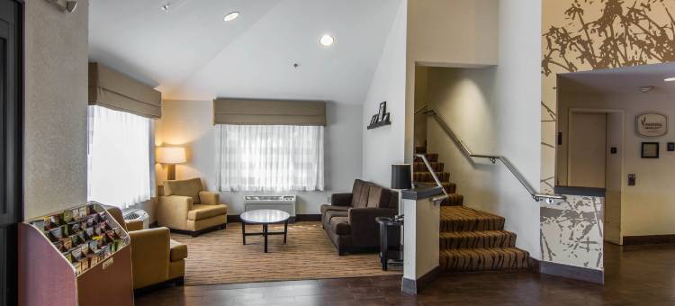 切萨皮克朴茨茅斯舒眠套房酒店(Sleep Inn & Suites Chesapeake - Portsmouth)图片