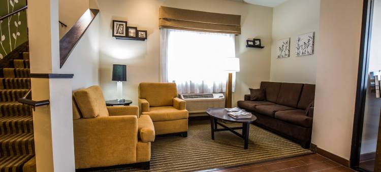 奥格登舒眠酒店-近活动中心(Sleep Inn Ogden Near Event Center)图片