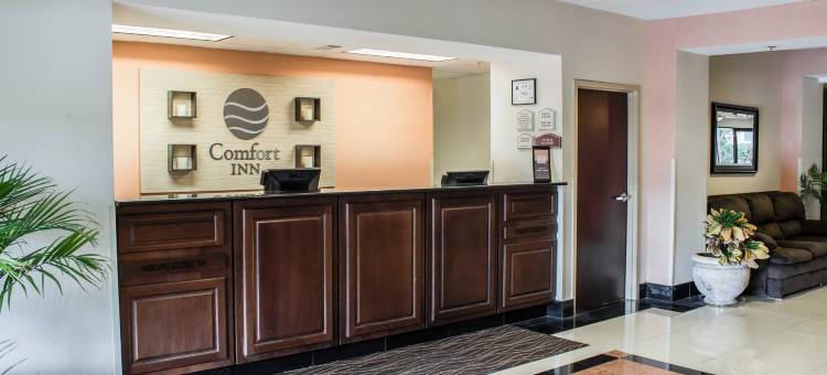 史密斯菲尔德 I-95 附近舒适酒店(Comfort Inn Smithfield Near I-95)图片