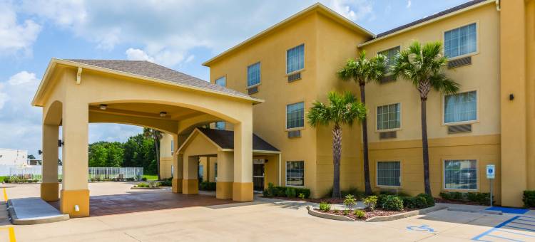 斯科特 - 西拉法叶舒适套房酒店(Comfort Inn & Suites Scott-West Lafayette)图片